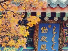 -香山公园