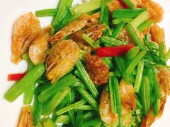 -天宁凯利时尚餐厅