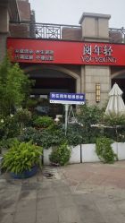 -阅年轻·AI家庭健康体质调理