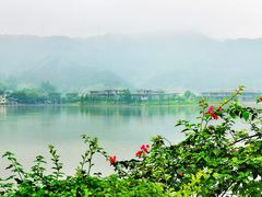 -美的鹭湖森林度假区