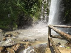 -莫里热带雨林景区