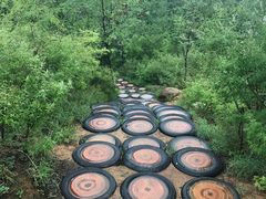 -黄金寨原生态旅游区