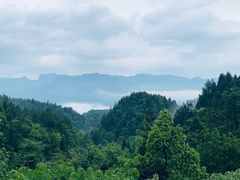 -梭布垭石林景区