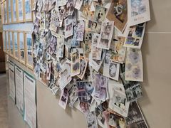 -半岛宠物医院24小时·内窥镜·牙科·碎石中心(府城大道店)