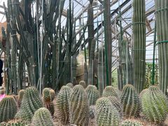 -南山植物园