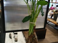 -VESH COFFEE(定西路店)