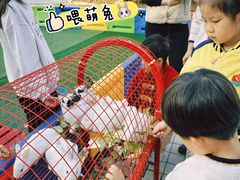 -黄金海岸水上乐园