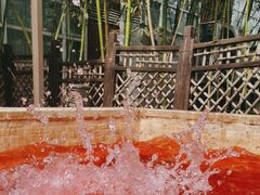 -春晖园度假酒店温泉