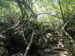 -呀诺达热带雨林