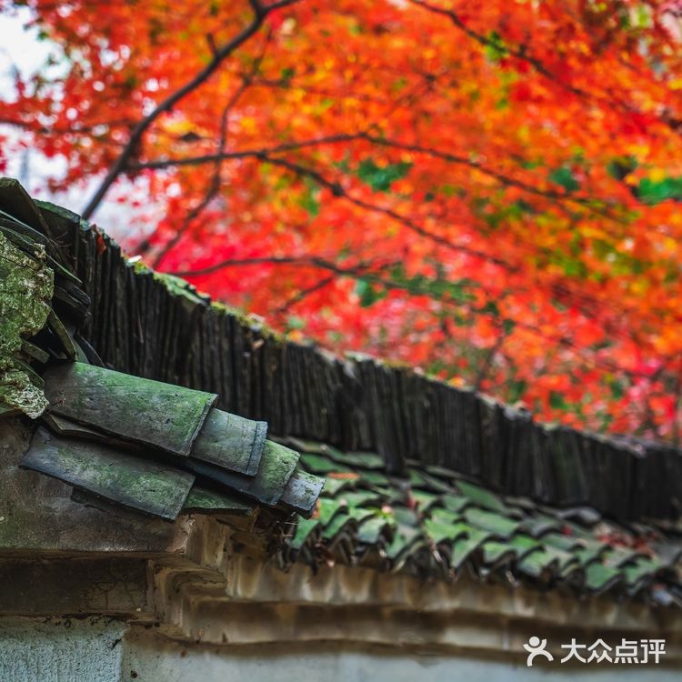 莫干山的深秋,迷人色彩惹人醉