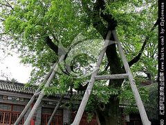 -黔蘑菇四季餐厅(观山湖店)