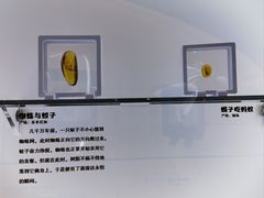 -河北博物院