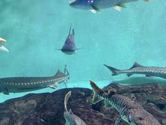 -太平洋海底世界