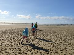 -北海金海湾红树林生态旅游区