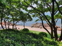 -青岛海滨风景区小青岛