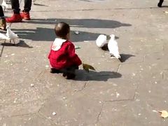 -绵阳人民公园(涪城区)