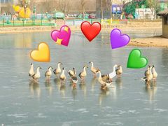 -葫芦古镇关东民俗雪乡