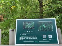 -福道