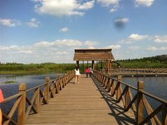 溱湖国家湿地公园-溱湖国家湿地公园