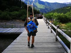 -黄龙山原始森林景区