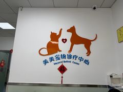 -美美宠物诊疗中心·异宠·骨科(滨江东信分院)