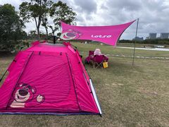 -春花秋色城市公园