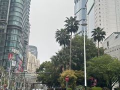 -香港龙凤楼(陆家嘴中心店)