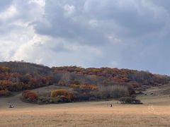 -御道口草原森林风景区