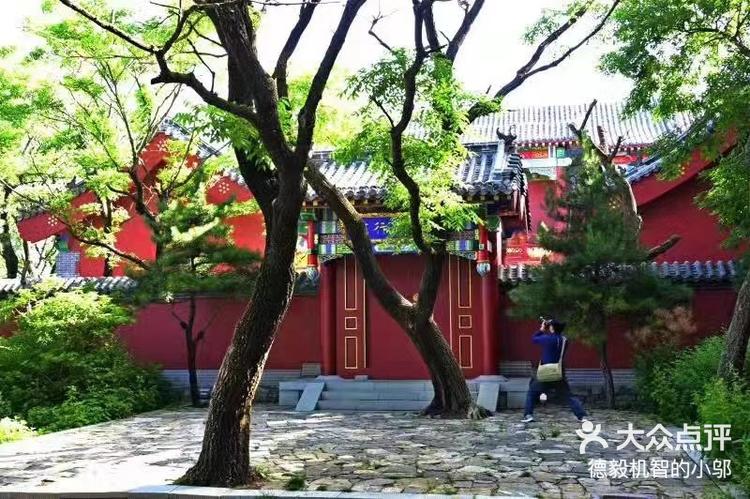 泰山顶云巢宾馆位于海拔1545米的泰山极-大众点评