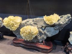 -游龙石文化科普馆