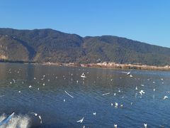 -海埂大坝