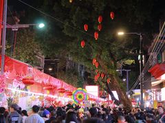 -越秀西湖花市(广州城市广场花卉店)
