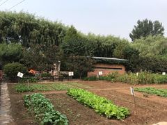 -瓦厂酒店