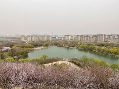-河北省园博园