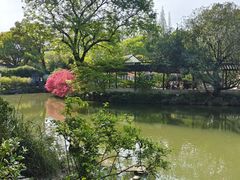 -上海醉白池公园