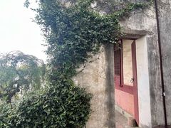 -宁波市保国寺古建筑博物馆