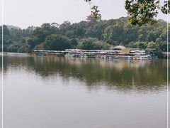 -东莞市虎英郊野公园