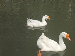 -杭州师范大学(下沙校区)