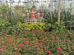 -南宫五洲植物乐园