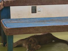 -北京野生动物园