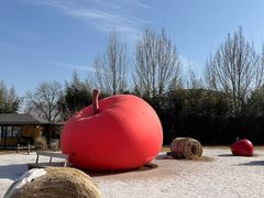 -禧宴Joyous Restaurant(禧园店)