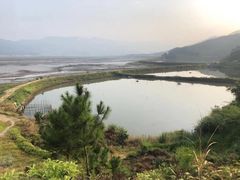 -北岐滩涂