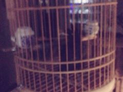 -正清和·推拿养生(黑石礁中心店)