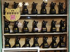 -猫咪博物馆(顶澳仔猫街店)
