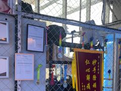 -银锐24h健身·Ai闪练(建设路店)