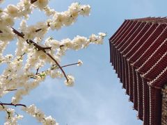 -玲珑塔公园
