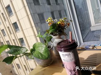 装修: 因为去的比较早