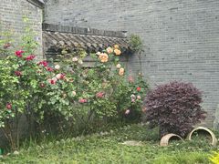 -口岸雕花楼