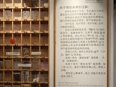 -猫的天空之城概念书店(杭州南宋御街店)