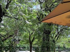 -缘生态云南菜·野生菌庭院餐厅(华侨城店)